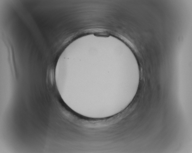 X0000113910013200910221342