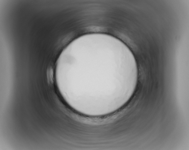 X0000113910014200910221342