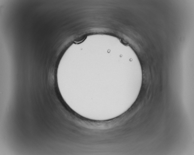 X0000113910015200910221342