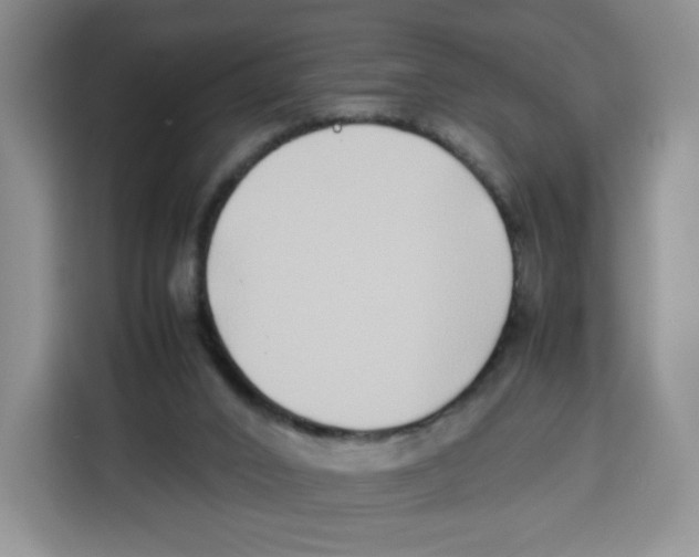 X0000113910016200910221342
