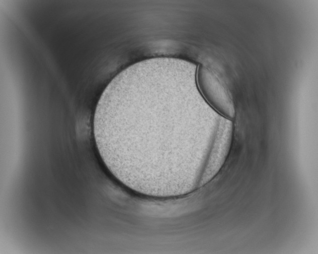 X0000113910017200910221342
