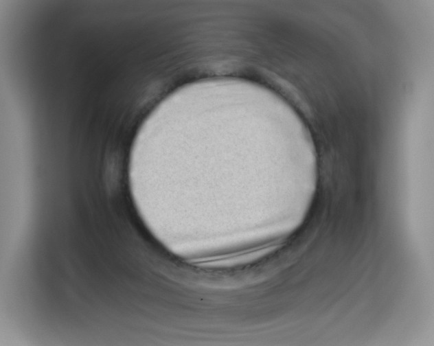 X0000113910018200910221342