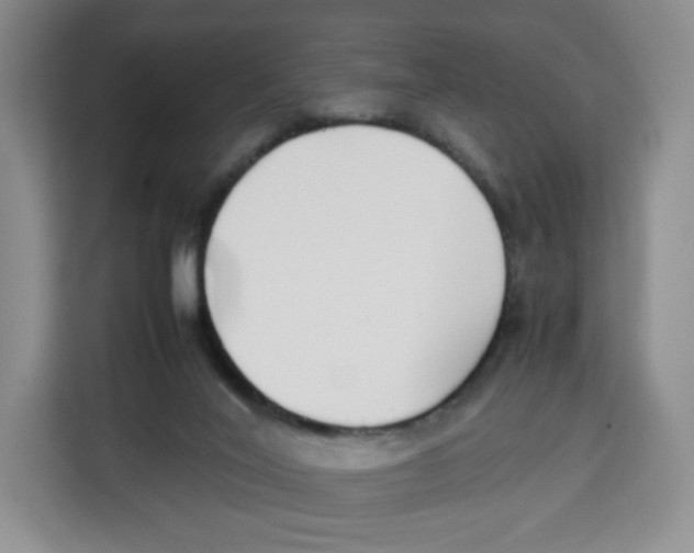 X0000113910020200910221342