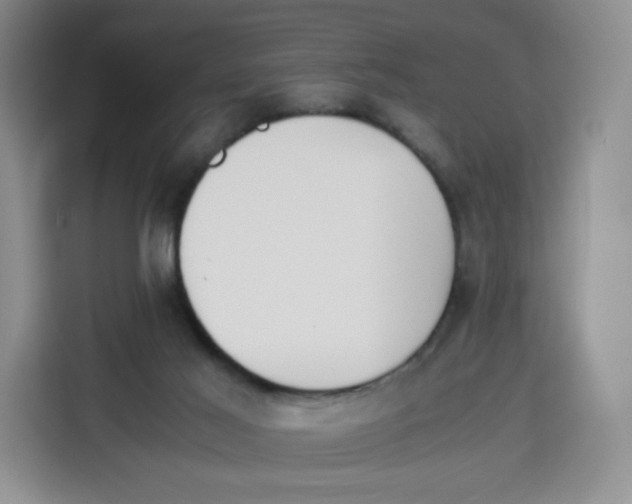 X0000113910021200910221342