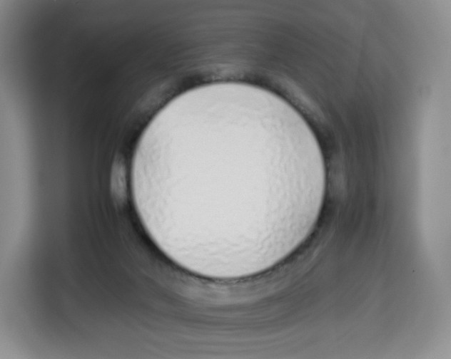 X0000113910022200910221342