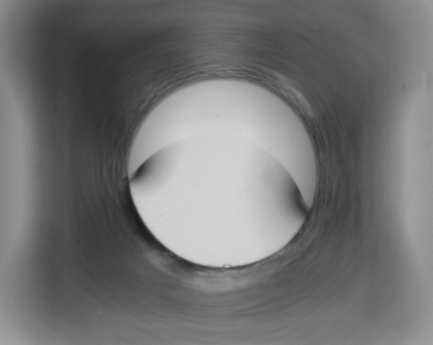 X0000113910025200910221342