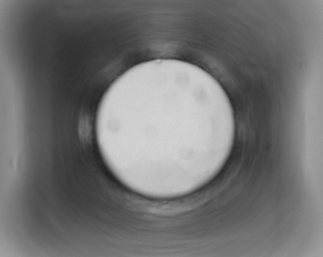 X0000113910026200910221342