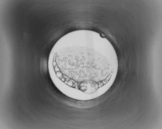 X0000113910027200910221342