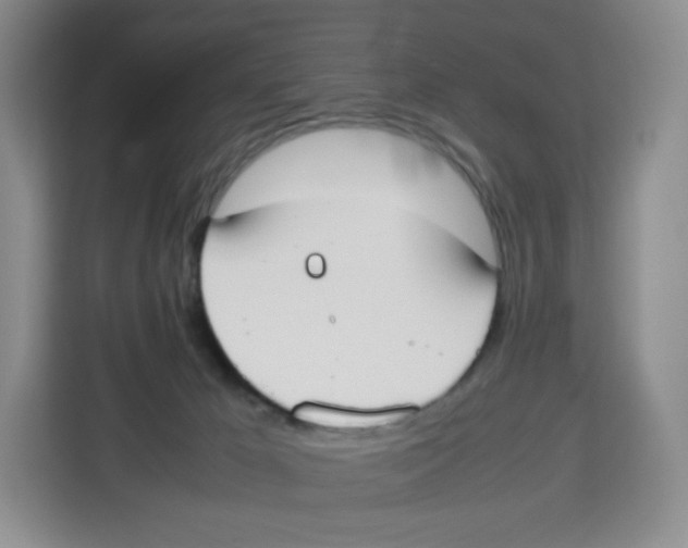 X0000113910029200910221342