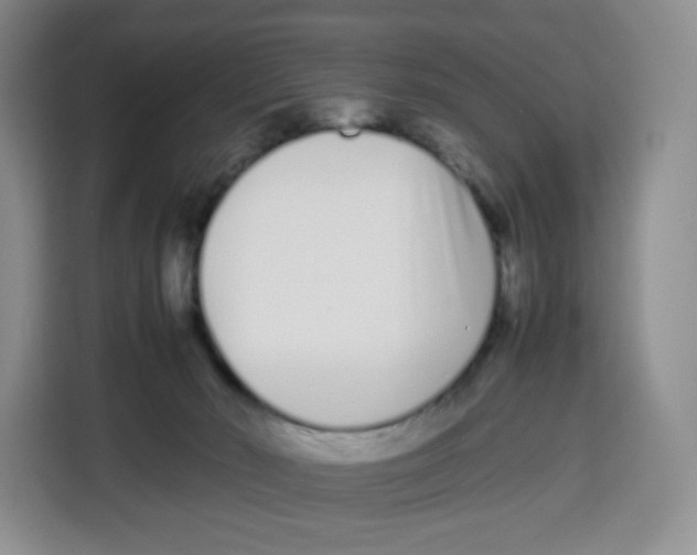 X0000113910030200910221342