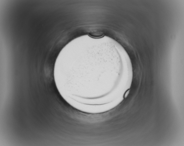 X0000113910031200910221342