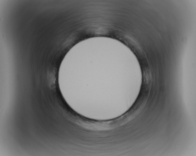 X0000113910032200910221342