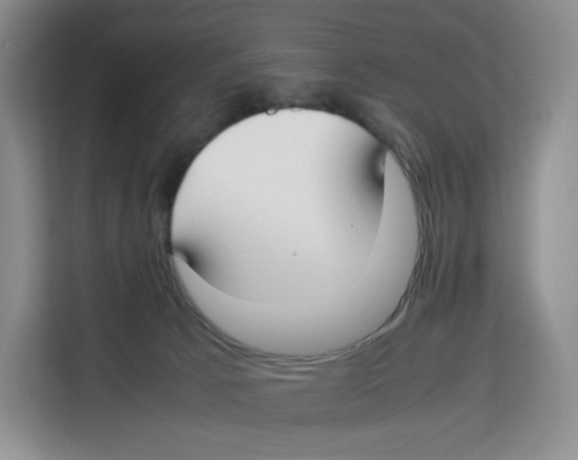 X0000113910033200910221342