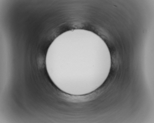 X0000113910034200910221342