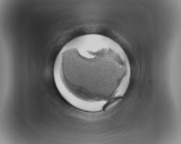 X0000113910035200910221342