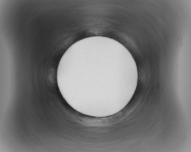 X0000113910036200910221342