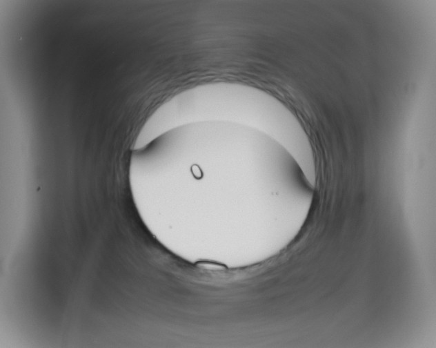 X0000113910037200910221342