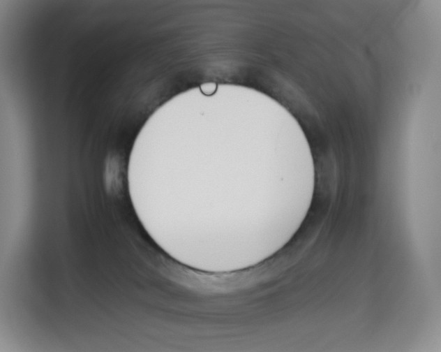 X0000113910038200910221342