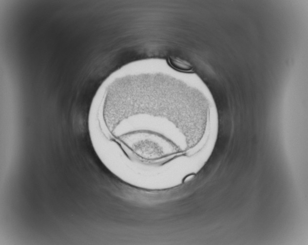 X0000113910039200910221342