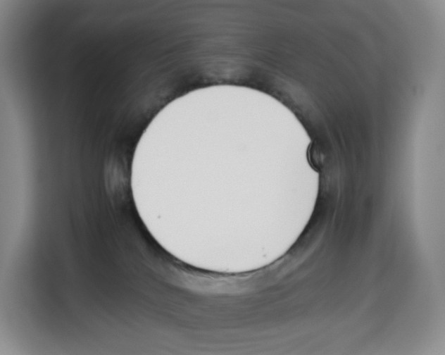X0000113910040200910221342