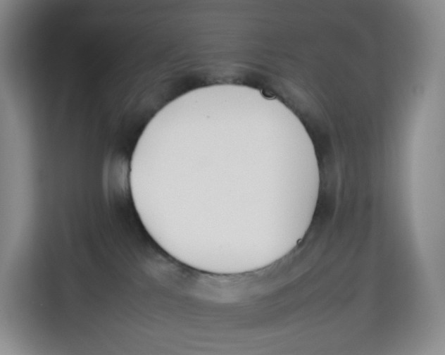 X0000113910041200910221342