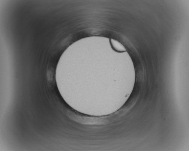 X0000113910044200910221342