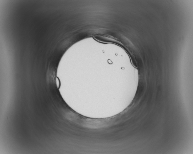 X0000113910045200910221342