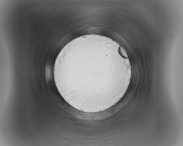 X0000113910046200910221342