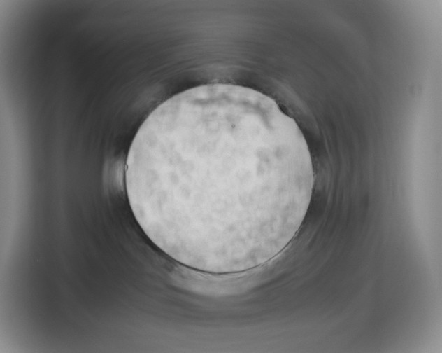 X0000113910047200910221342