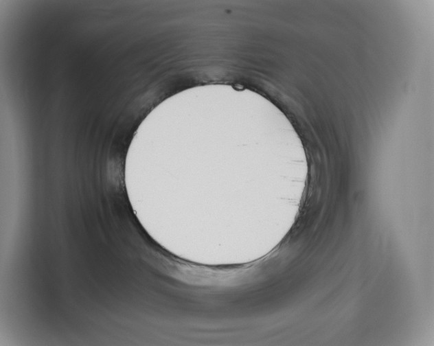 X0000113910048200910221342
