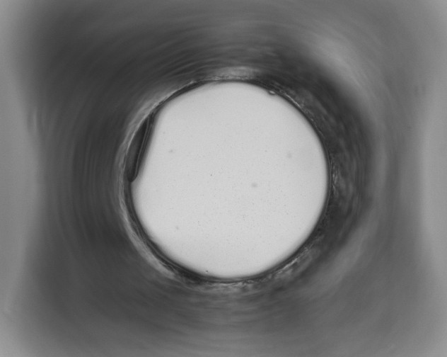 X0000113910049200910221341