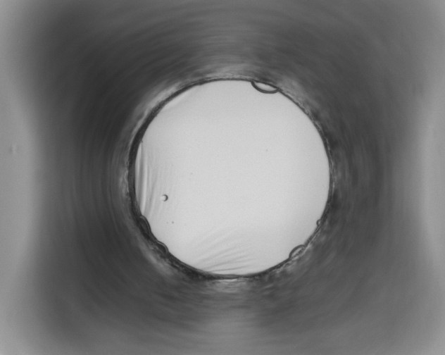 X0000113910050200910221341