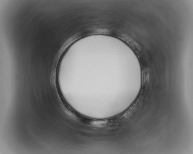 X0000113910051200910221341