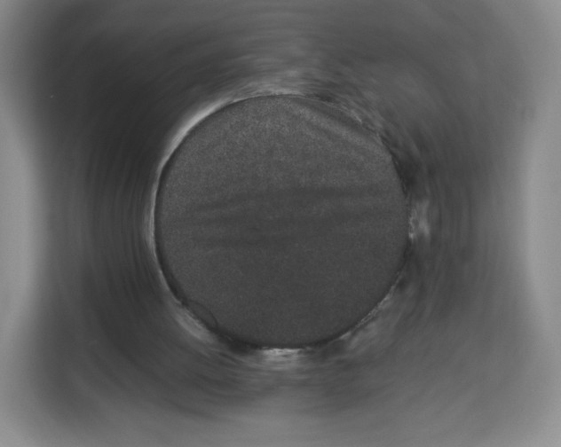 X0000113910052200910221341