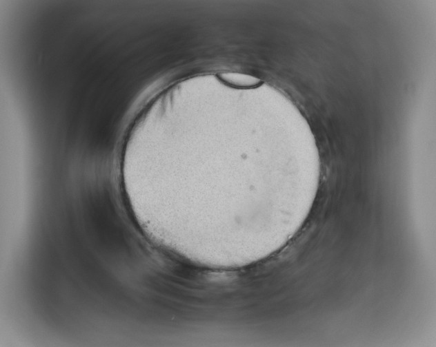 X0000113910053200910221341