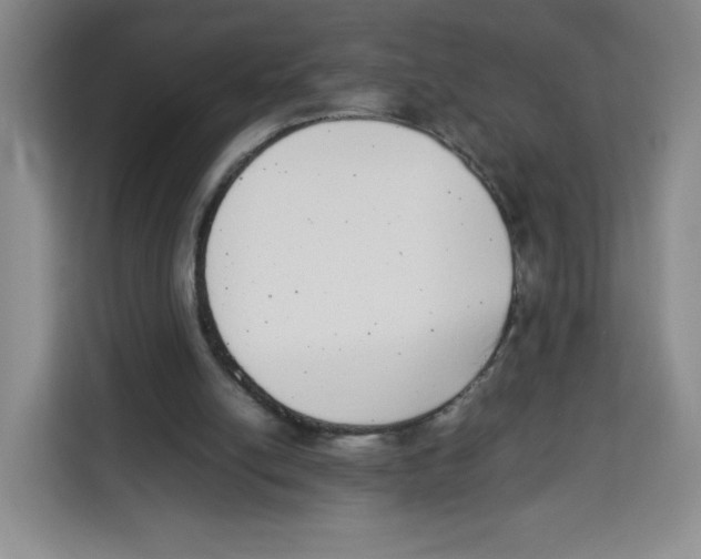X0000113910054200910221341