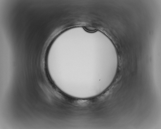 X0000113910055200910221341