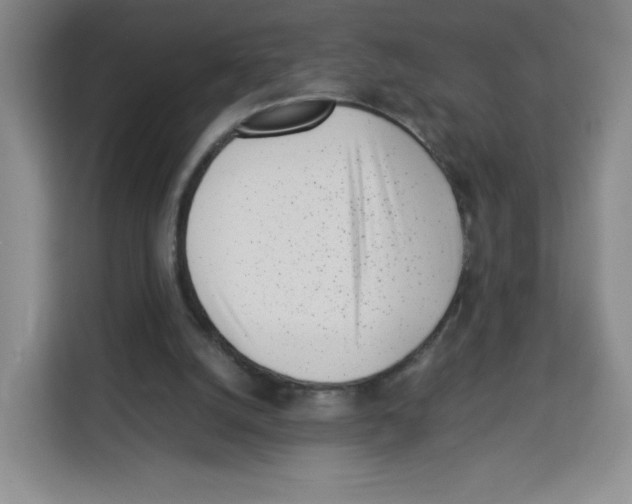 X0000113910056200910221342