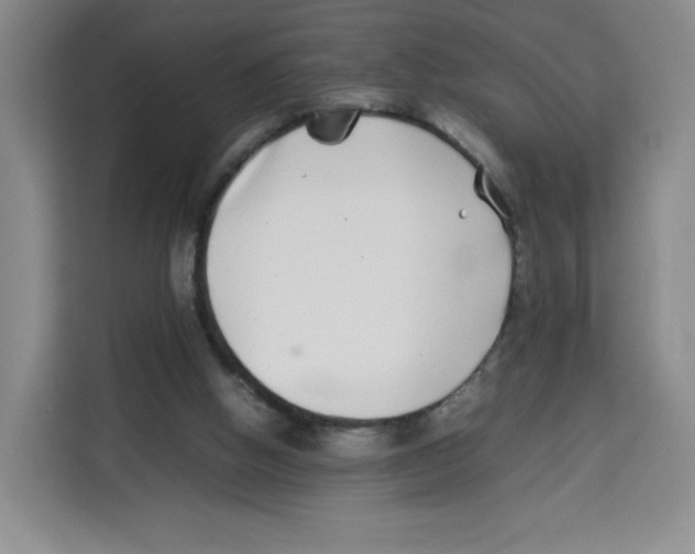 X0000113910058200910221342