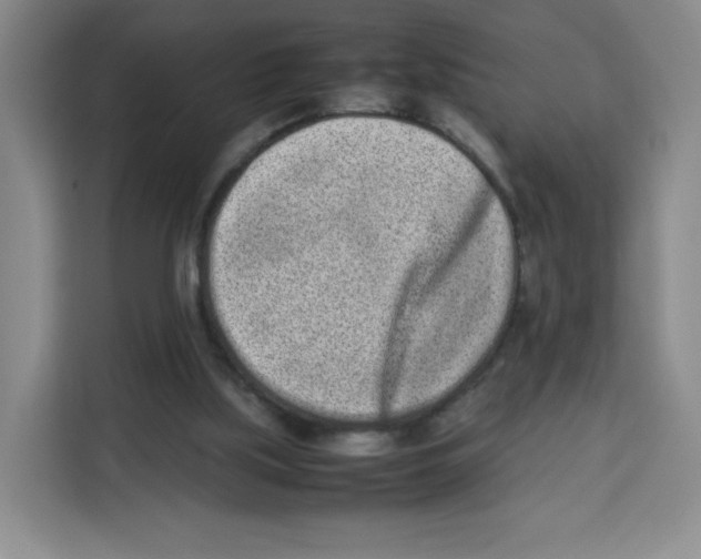X0000113910059200910221342