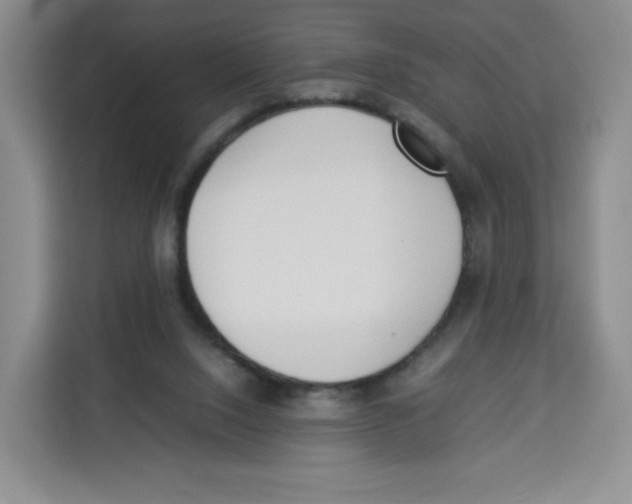 X0000113910064200910221342