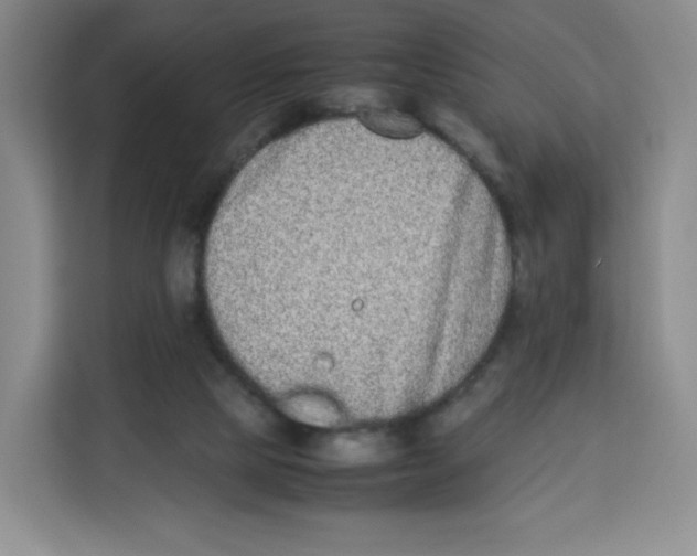 X0000113910065200910221342