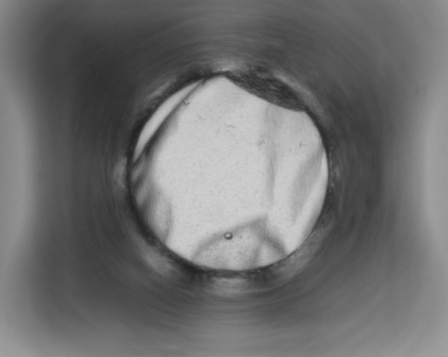 X0000113910066200910221342