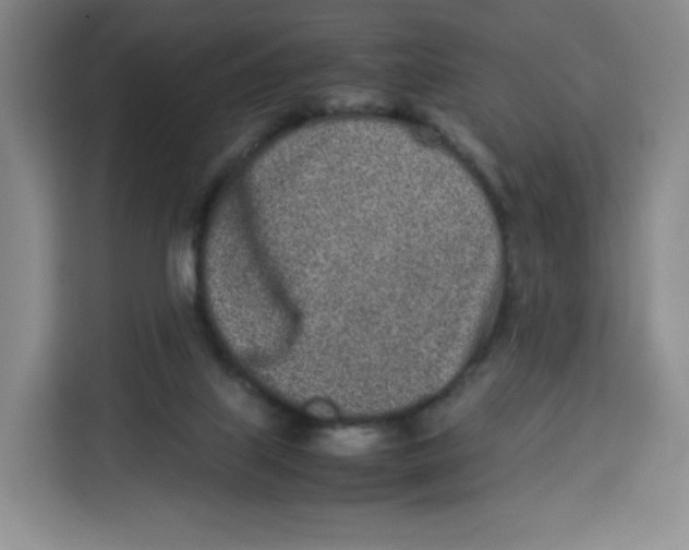 X0000113910067200910221342