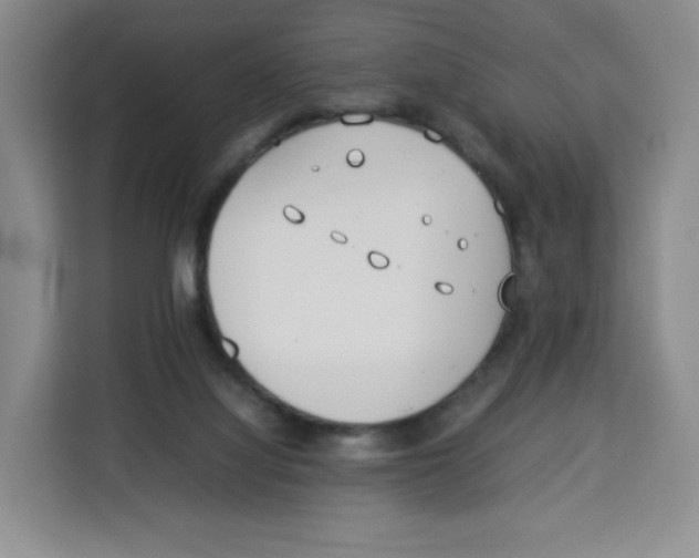 X0000113910068200910221342