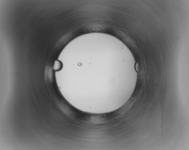 X0000113910070200910221342