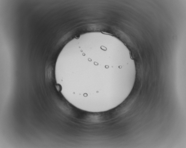 X0000113910071200910221342