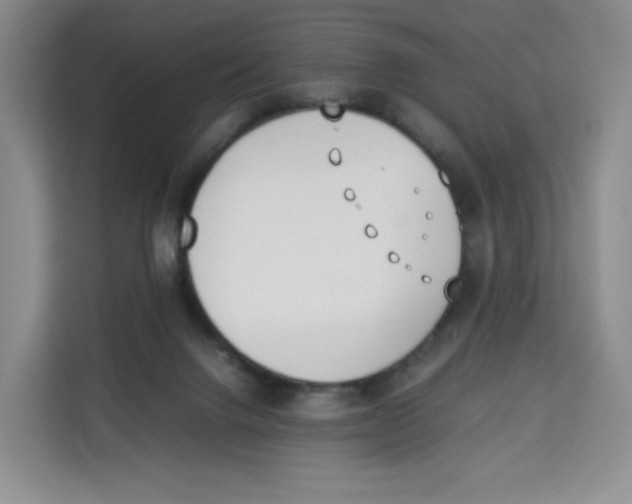 X0000113910072200910221342