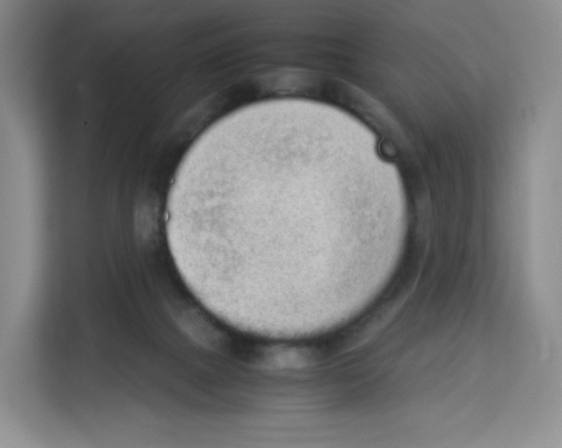X0000113910073200910221342