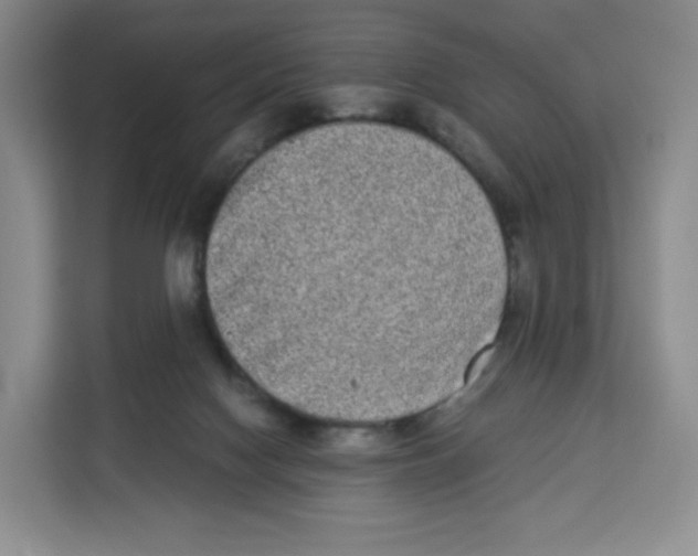 X0000113910074200910221342